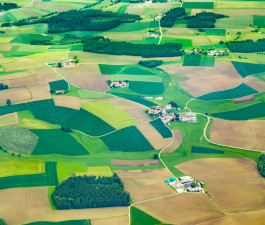 The COVID-19 support for farmers has in fact served as an income-increasing tool