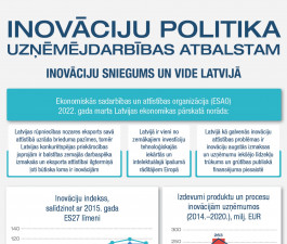 Support for business innovation is extensive but results in minor impact on their productivity and competitiveness