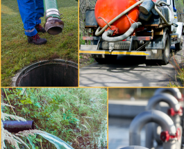 Is the action of municipalities in organising the collection, discharge, and treatment of wastewater economic and focused on protecting the environment against the harmful effects of urban wastewater?